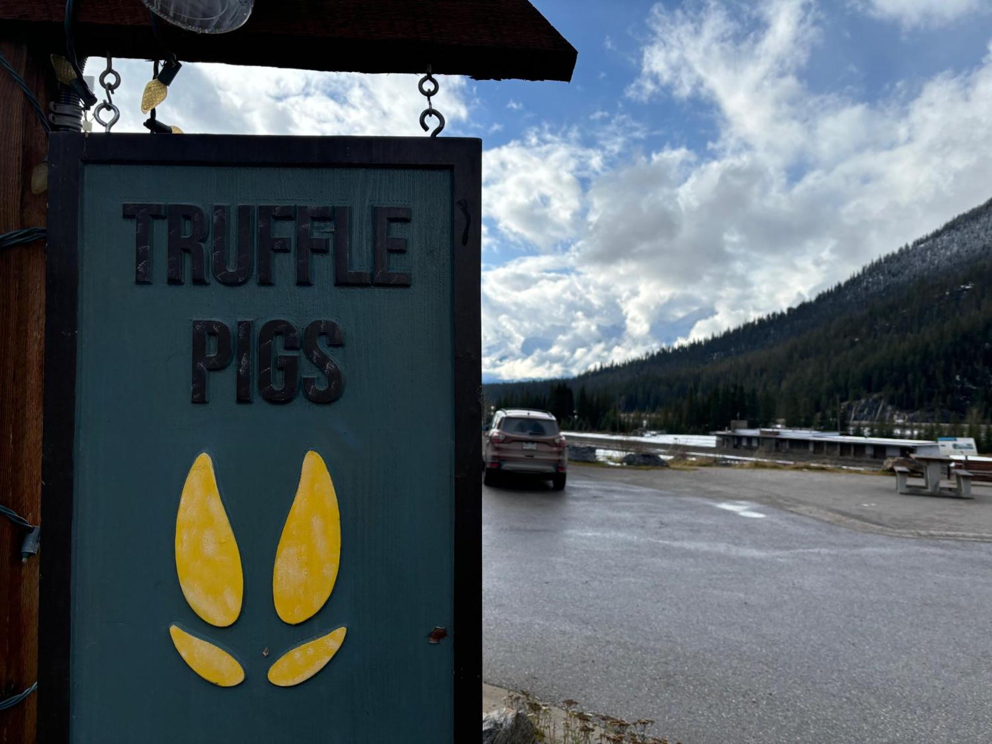 Truffle Pigs Lodge Field Kültér fotó
